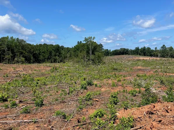 0 Allen Rd, Butler, GA 31006