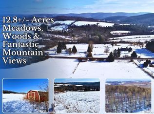 Lot 41-42 Hamden Hill Road, Hamden, NY 13782