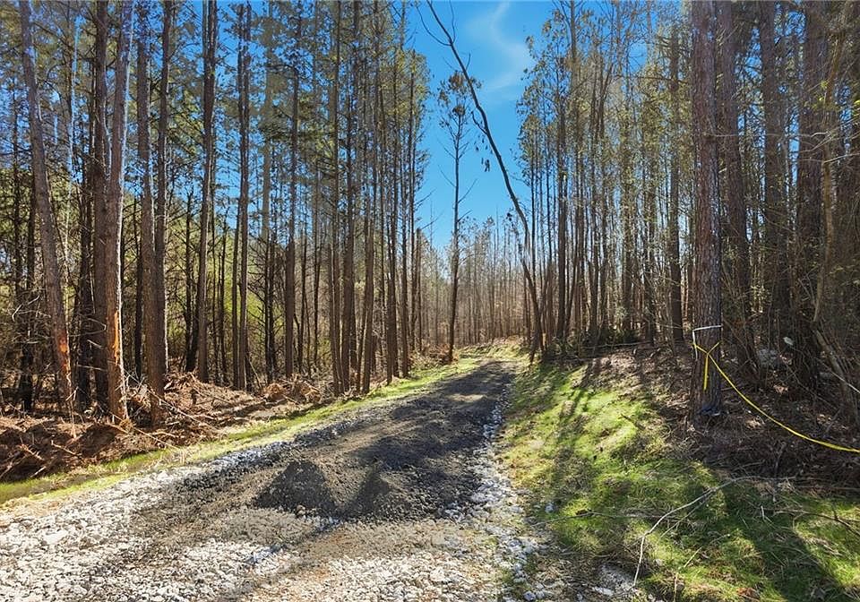 1st image of On Orlando Path #6