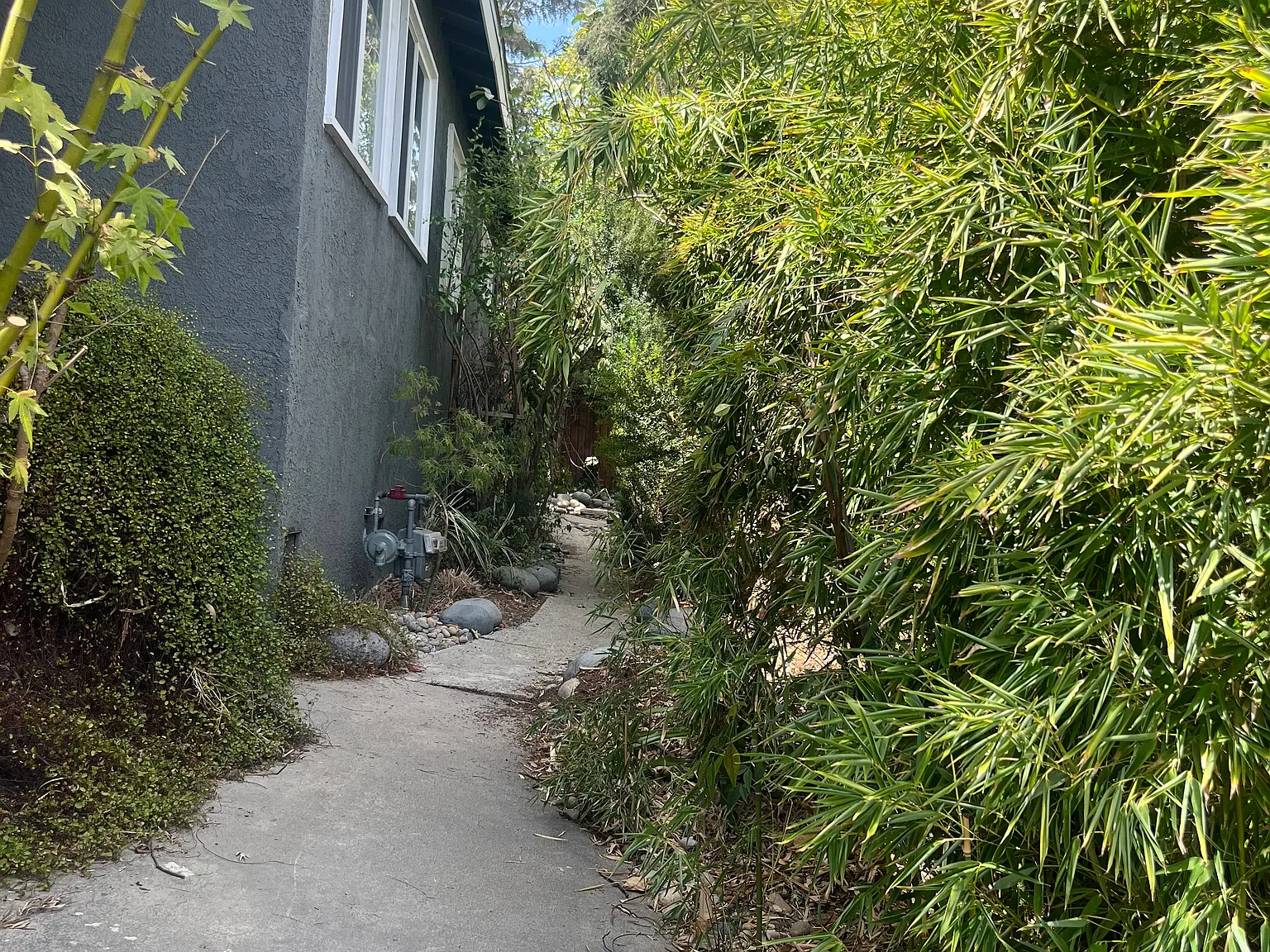 4 bed, 1278 sqft, $4,800 — Photo 3