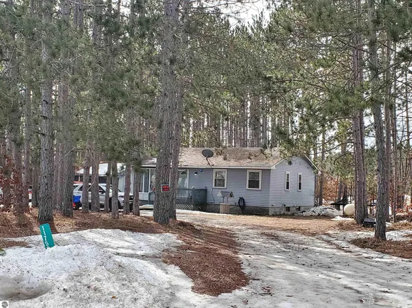 11756 Coster Rd SW, Fife Lake, MI 49633