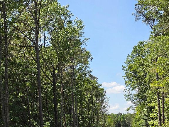 5th image of 148 Berry Rd Lot 12A