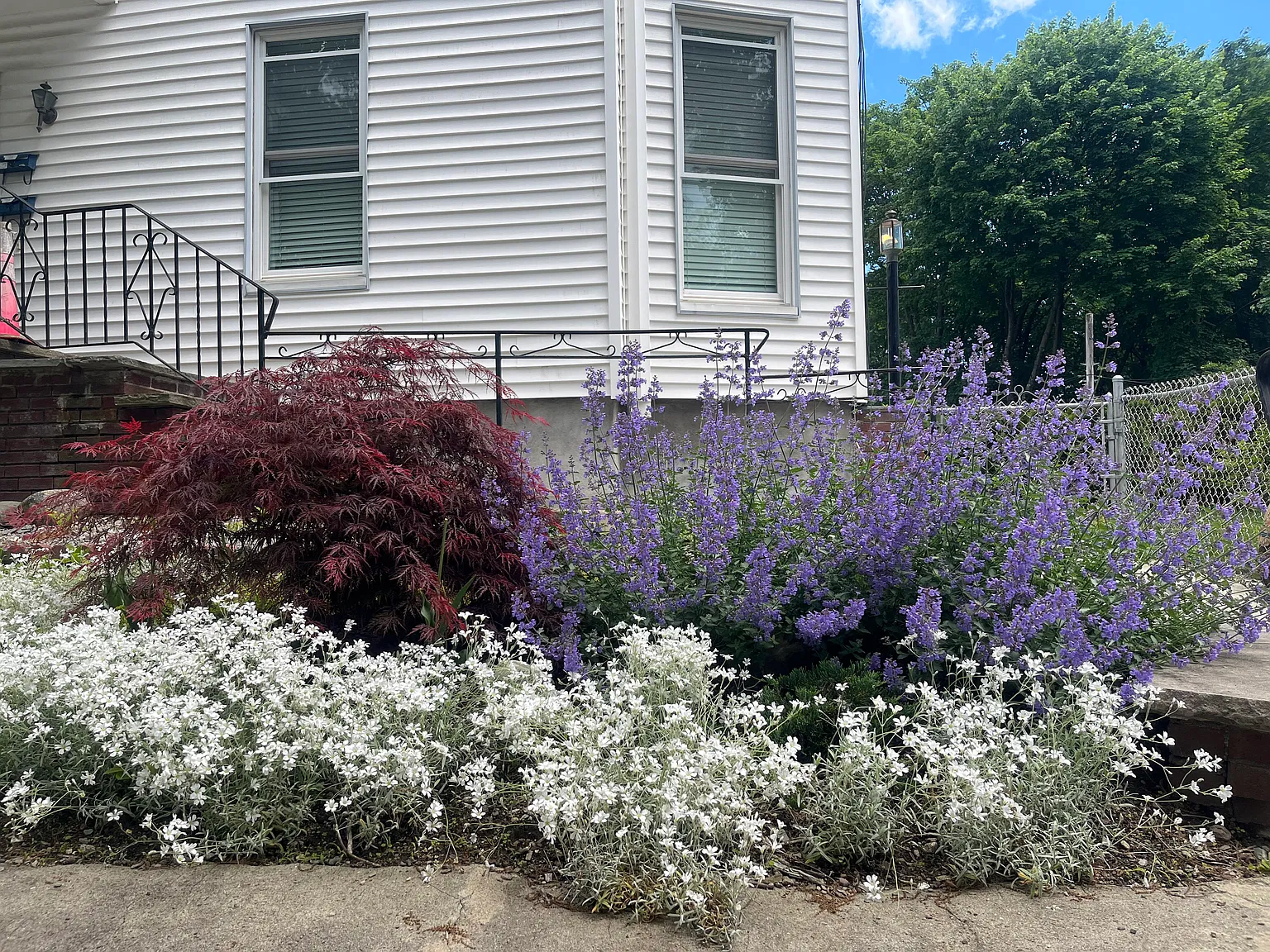 1 bed, 250 sqft, $2,150 — Photo 2