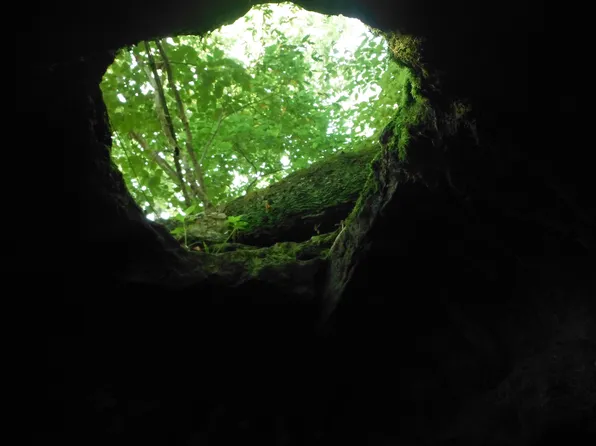 000 Moonlight Road #155 Acres, Mammoth Spring, AR 72554