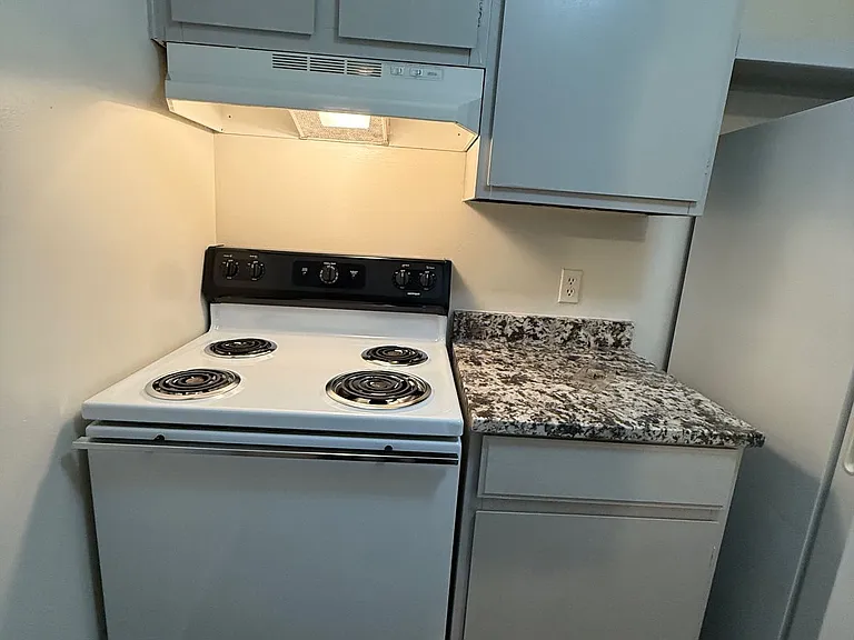 1751 Cass Lake Front Rd #206 — Photo 14