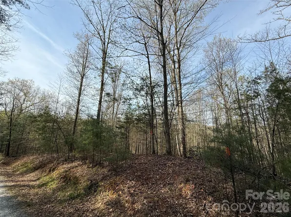 4 W Legacy Dr, Hendersonville, NC 28739