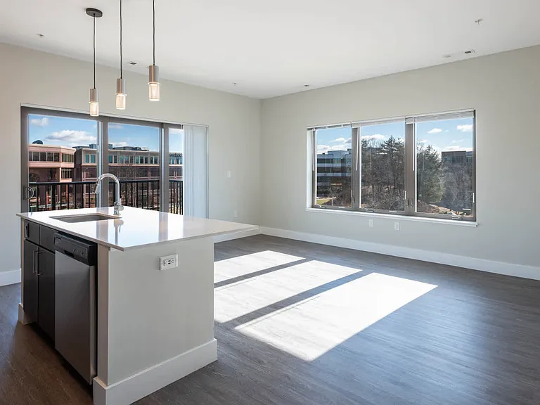 Living Room with Hard Surface Flooring