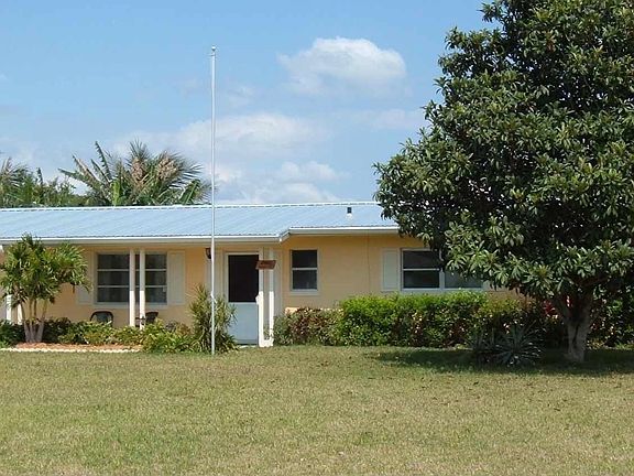 front yard w/loquat tree