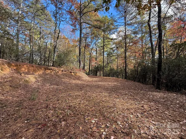 171 Duff Cove Rd, Brevard, NC 28712