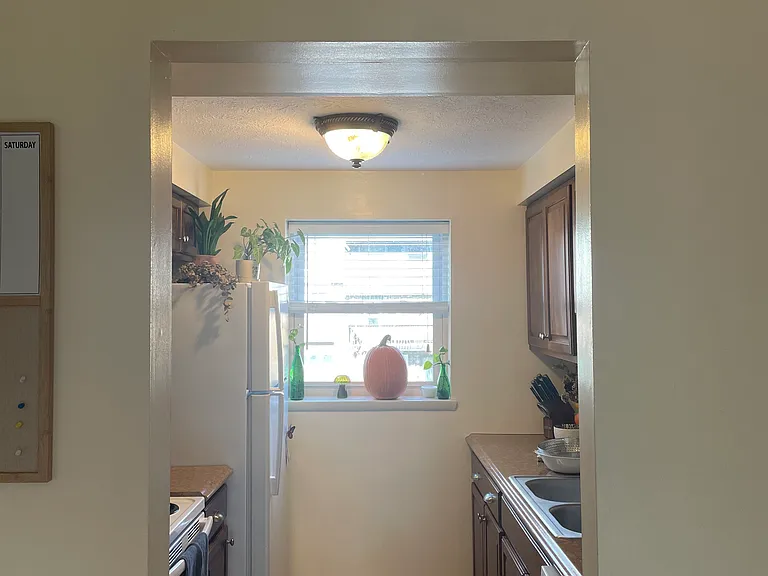505 Bayberry Ln — Photo 3