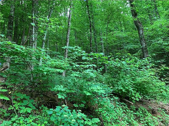 4th image of LOT 48 Twin City Way Lot 48