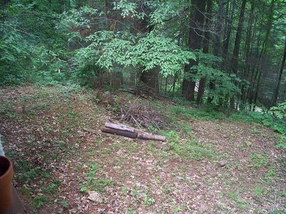 Low Maintenance Front Yard
