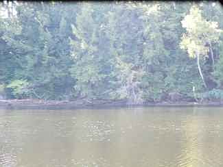 5th image of E River Dr