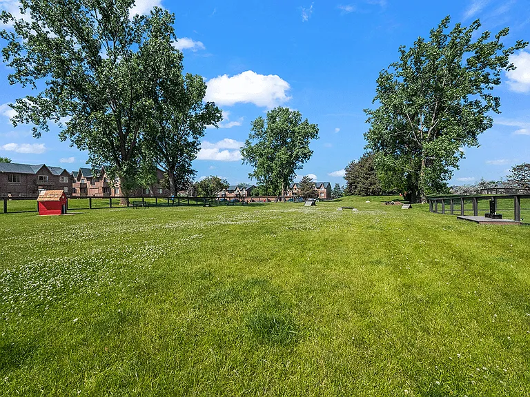 Open, Green Lawn Space with Agility Features