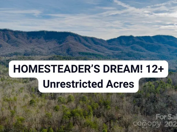 0 Jarrell Loop, Old Fort, NC 28762