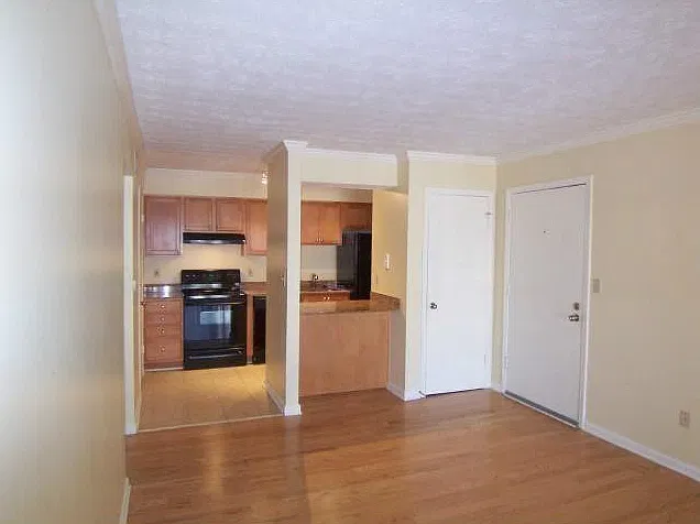 1 bed, 625 sqft, $1,450 — Photo 3