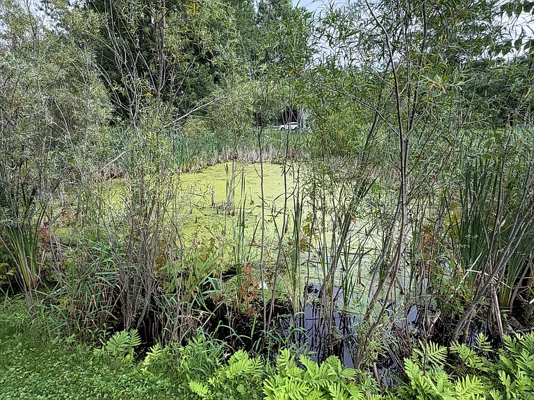 66 Ontario St — Photo 15