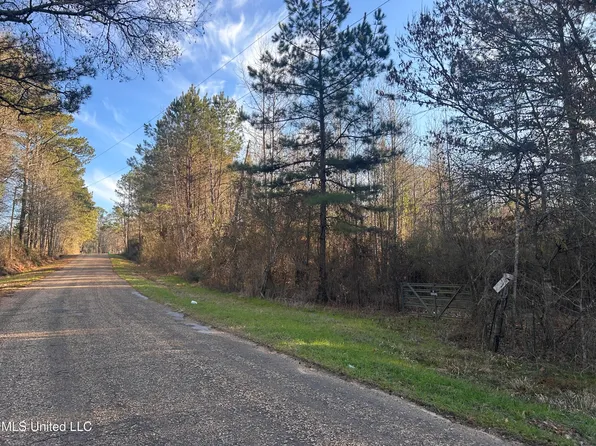 Furrs Mill Dr NE, Wesson, MS 39191