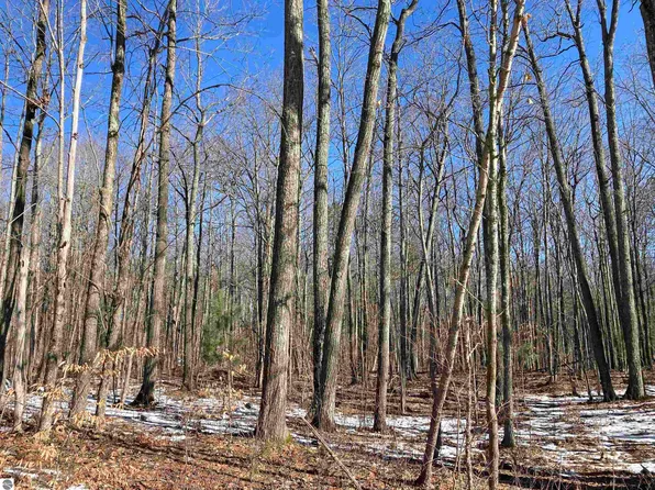 W Heath Rd, Rose City, MI 48654