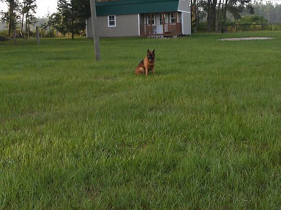 12x28 ft weather king shed