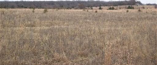 2nd image of Drummond Road 5 Acres