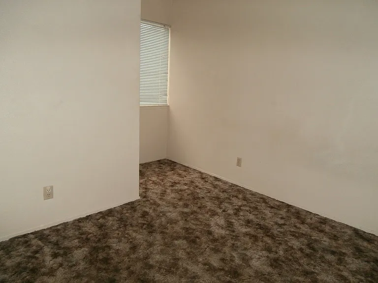 239 Sunnyhills Dr — Photo 15