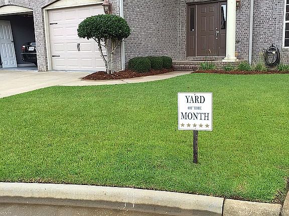 Yard of the month