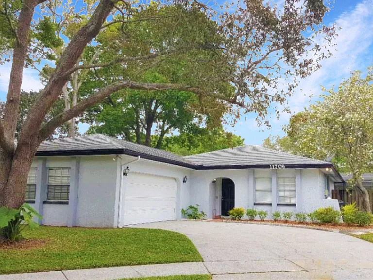 11706 Shady Tree Pl — Photo 1