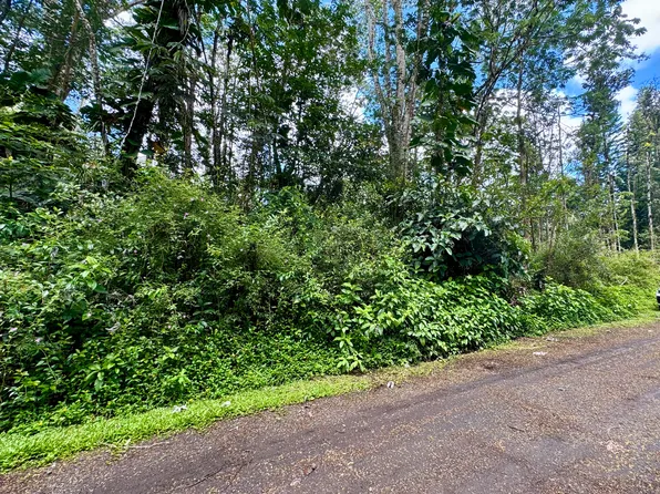 Plumeria Rd Lot 390, Pahoa, HI 96778
