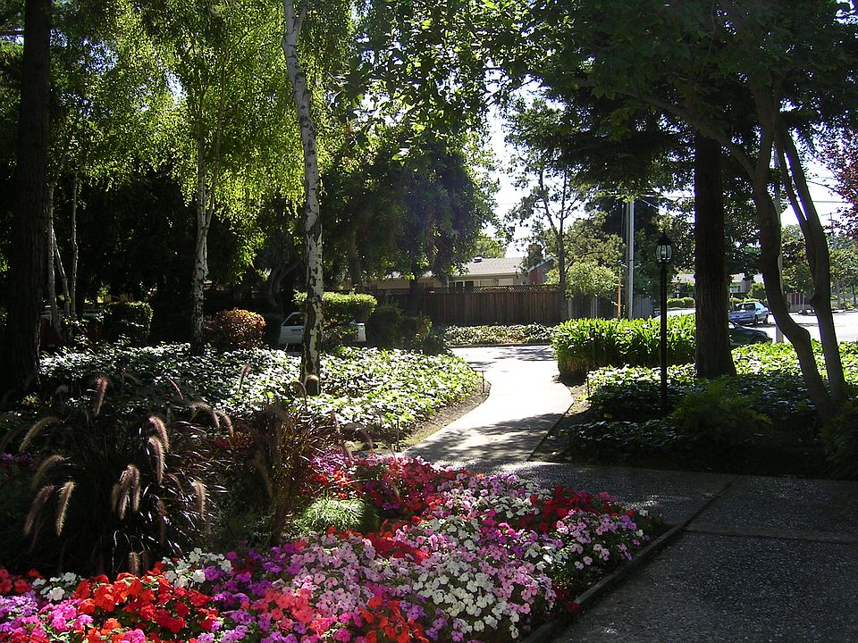Wooded Paths