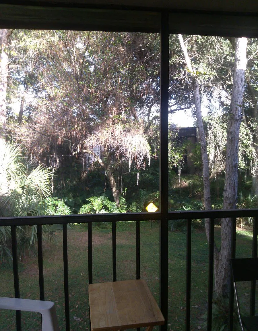 2 bed, 960 sqft, $1,350 — Photo 1