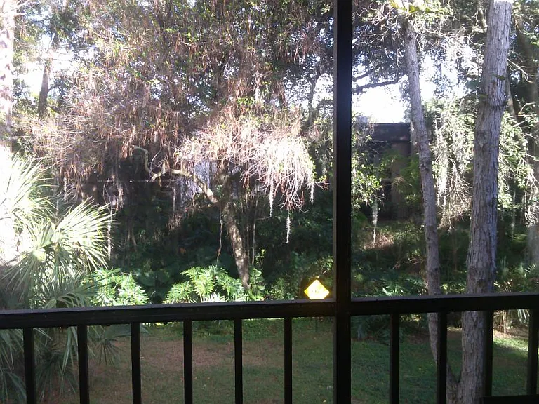 Balcony facing the back yard