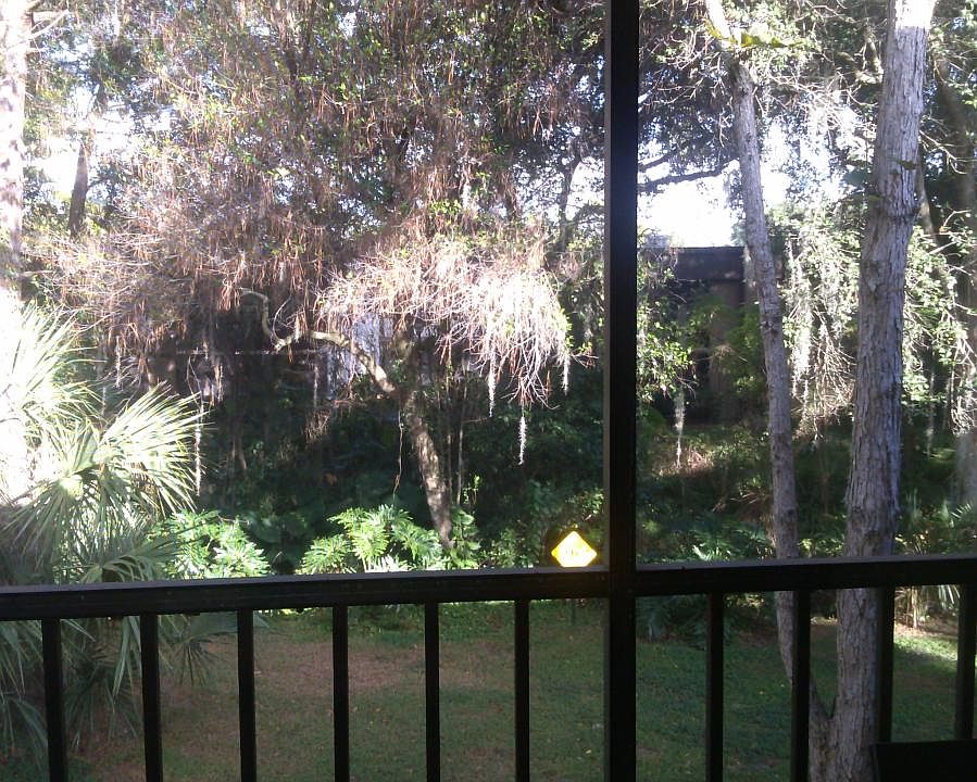 Balcony facing the back yard