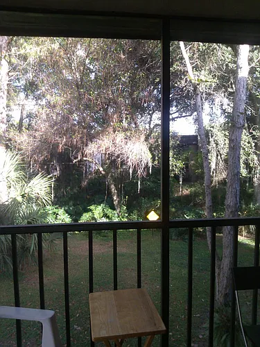 11703 Raintree Village Blvd Photo 1