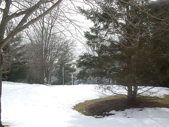Large Open Back Yard