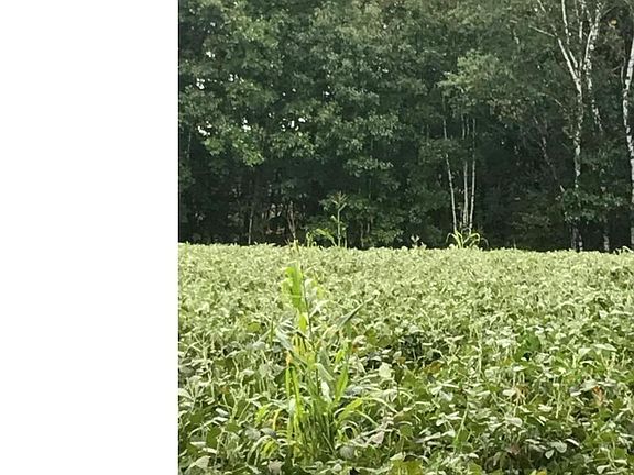 3rd image of Xxx Cedar Creek Road Munch Twp