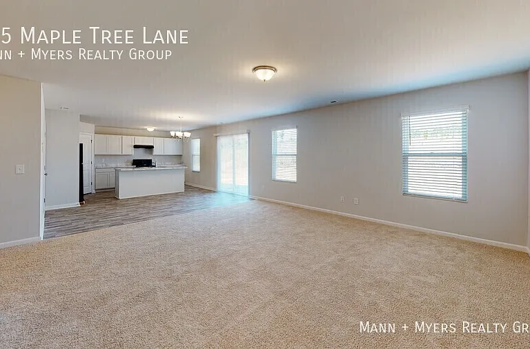 135 Maple Tree Ln — Photo 46