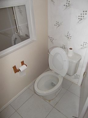 5th image of 9756 Silver Pebble St