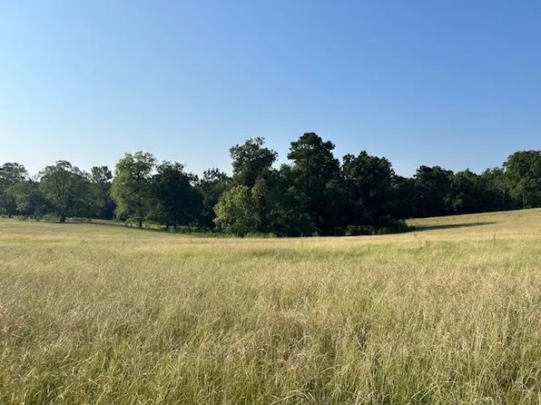 0 Foster Rd, Downsville, LA 71234