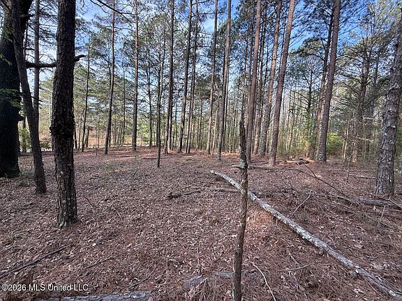 2nd image of 2893 Truesdale Rd