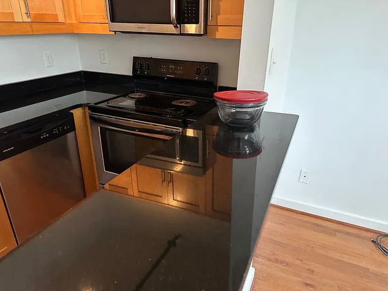 301 NORTH - Petersburg Loft Living — Photo 11
