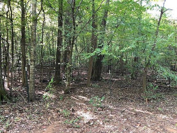 5th image of 11499 County Road 3102