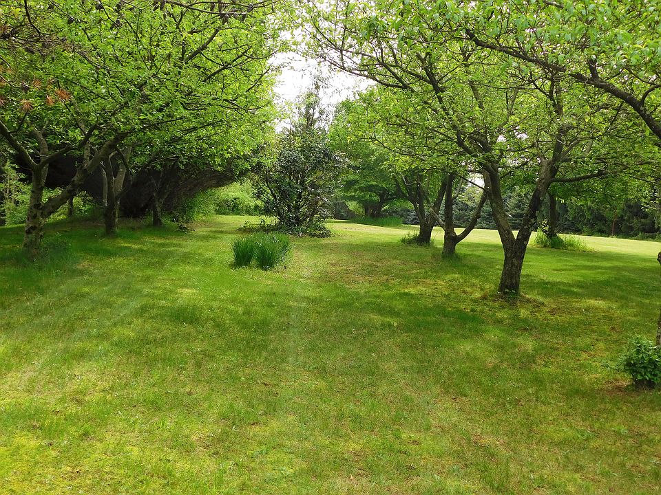 Fruit trees / upper orchard
