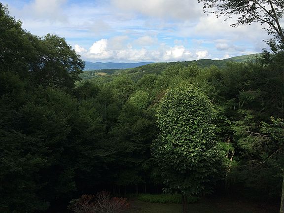 Summer mountain view