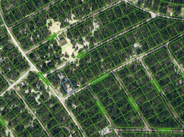 402 Apple Blossom Ct #33, Lake Placid, FL 33852