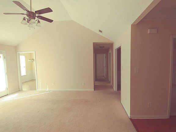 Living room volted ceiling 