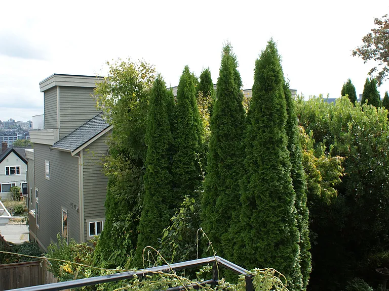 155 Aloha St #101 — Photo 18