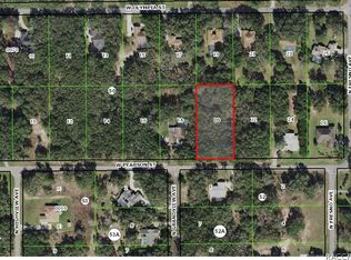 157 W Pearson St, Hernando, FL 34442