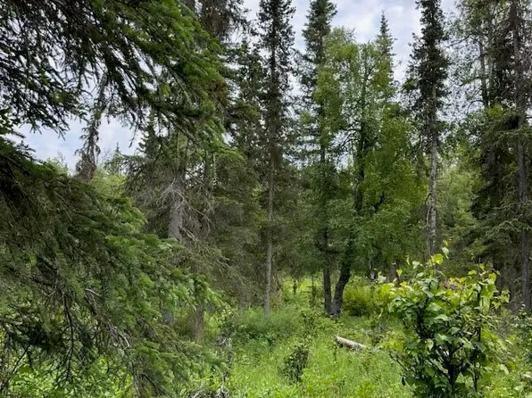 0 Cassidy Dr, Kasilof, AK 99610