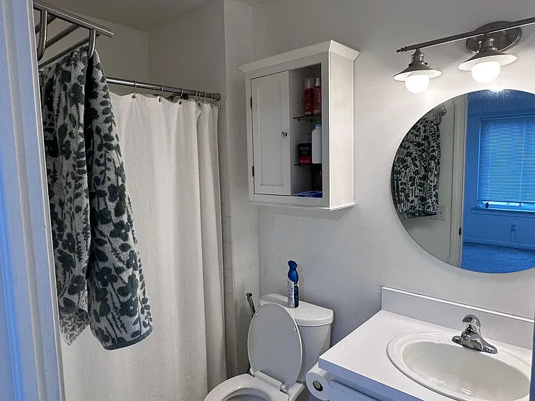 42483 Lilley Pointe Dr — Photo 9